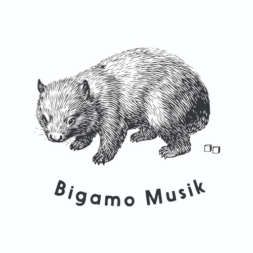 BIGAMO’s avatar
