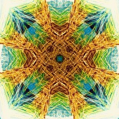 t e l e p o r t - f i e l d