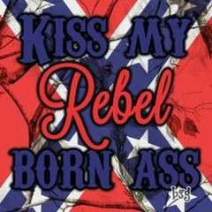 Alexander J H Gaiter6