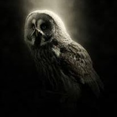 DarkAnimal