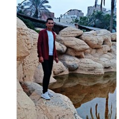 alaa hegazy