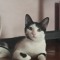 Agnes