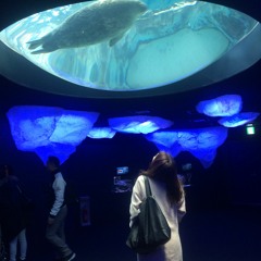 Eden Cruz instrumental