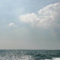 puro7664puro@gmail.com