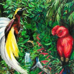 The Switch BirdsOfParadise