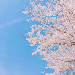 Tsend-Ayush Choijilsuren