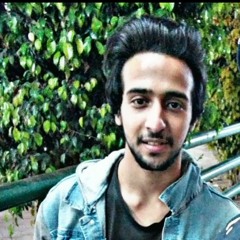 mohamed el.sebaey
