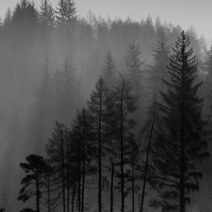 Christiane Descheneaux