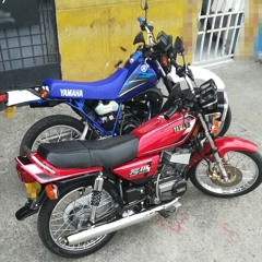 bocanegra
