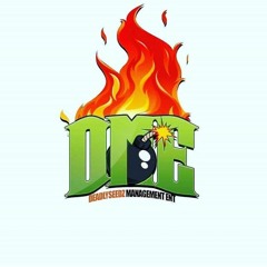 KillahBee A.K.A. MrPolo