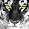 Tygers