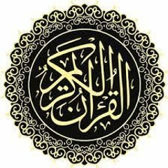 محمود الشحات