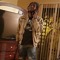 Trippie Monster