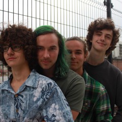 The Snapping Turtlenecks