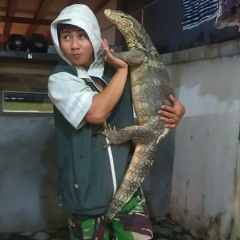 Okta Reptil