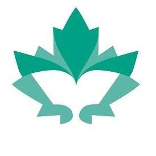 National Youth Choir of Canada’s avatar