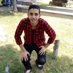 Moustafa Saied Shehata