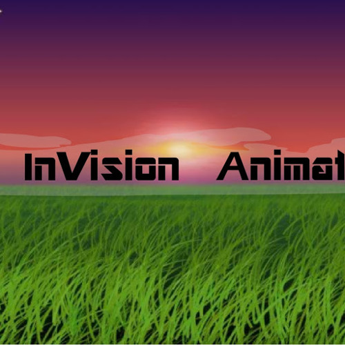 InVision Animations’s avatar