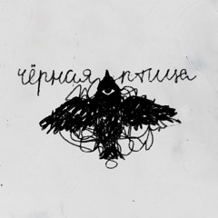 Чёрная птица