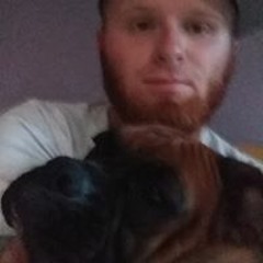 boolie