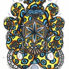 Octoπ
