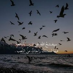 Shahenda Mohammad Herat