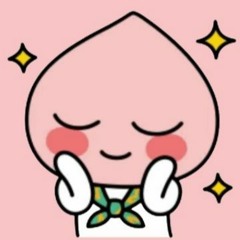 kim sol