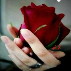 Navdeep