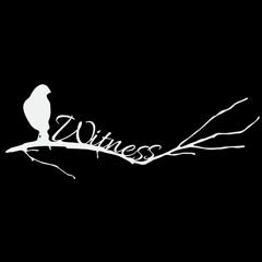 Witness