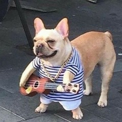 nueva yoquese