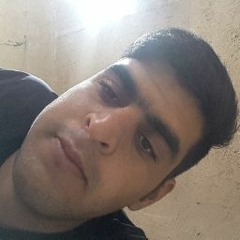 mohammad hosseini