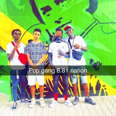 Popgang8.81