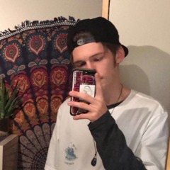 anton.zim