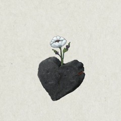 Captain_Pilot_Driver