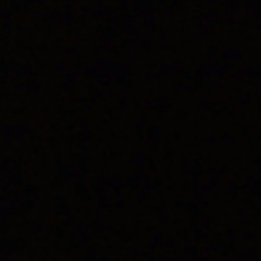 dann