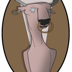 MR.VASCH