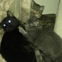 George Strait: Here For A Good Time