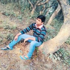 Ashu Chaudhary