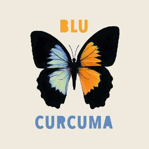 BLU CURCUMA’s avatar