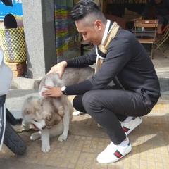 Trần Thái