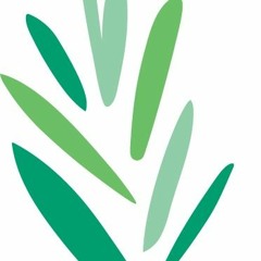 Reset: Jewish Practice for Activists