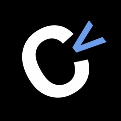 THE CONSTITUTE NOISE NETWORK