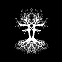 Forest Frequency