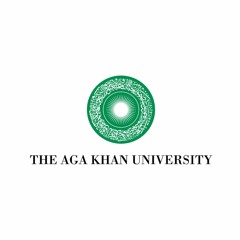 Outside Looking In – An EAI Podcast Series