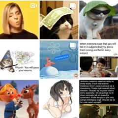 pOai Laii BriGgue77e