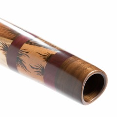Wet Didgeridoo