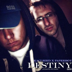 KaCi Bird (Birddy 600)