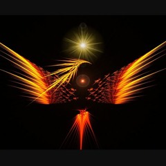 Feinix