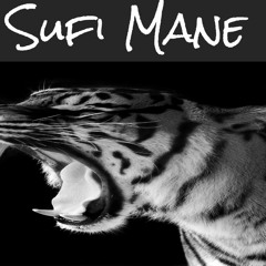 Sufi Mane