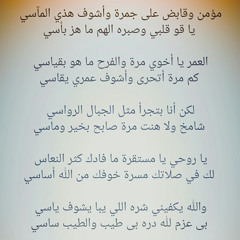 dina amer
